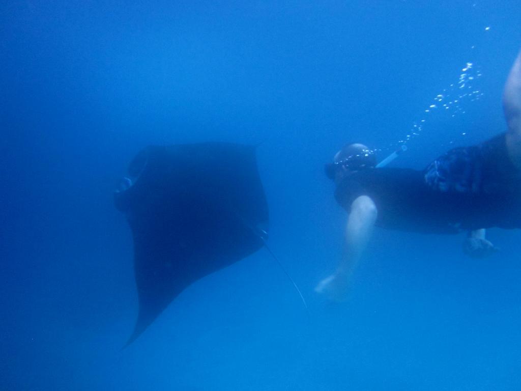 ディナタ レンボンガン ヴィラズ レンボンガン島 エクステリア 写真